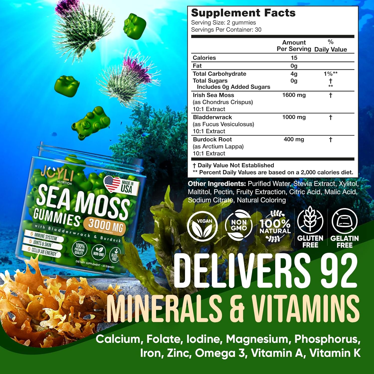 JOYLI Nutrition 2 Pack - Sea Moss Gummies for Adults & Kids – Vegan Irish Sea Moss Supplement with Bladderwrack & Burdock Root – Sugar-Free Immune Support Supplements - 60 Gummy Bears per Pack