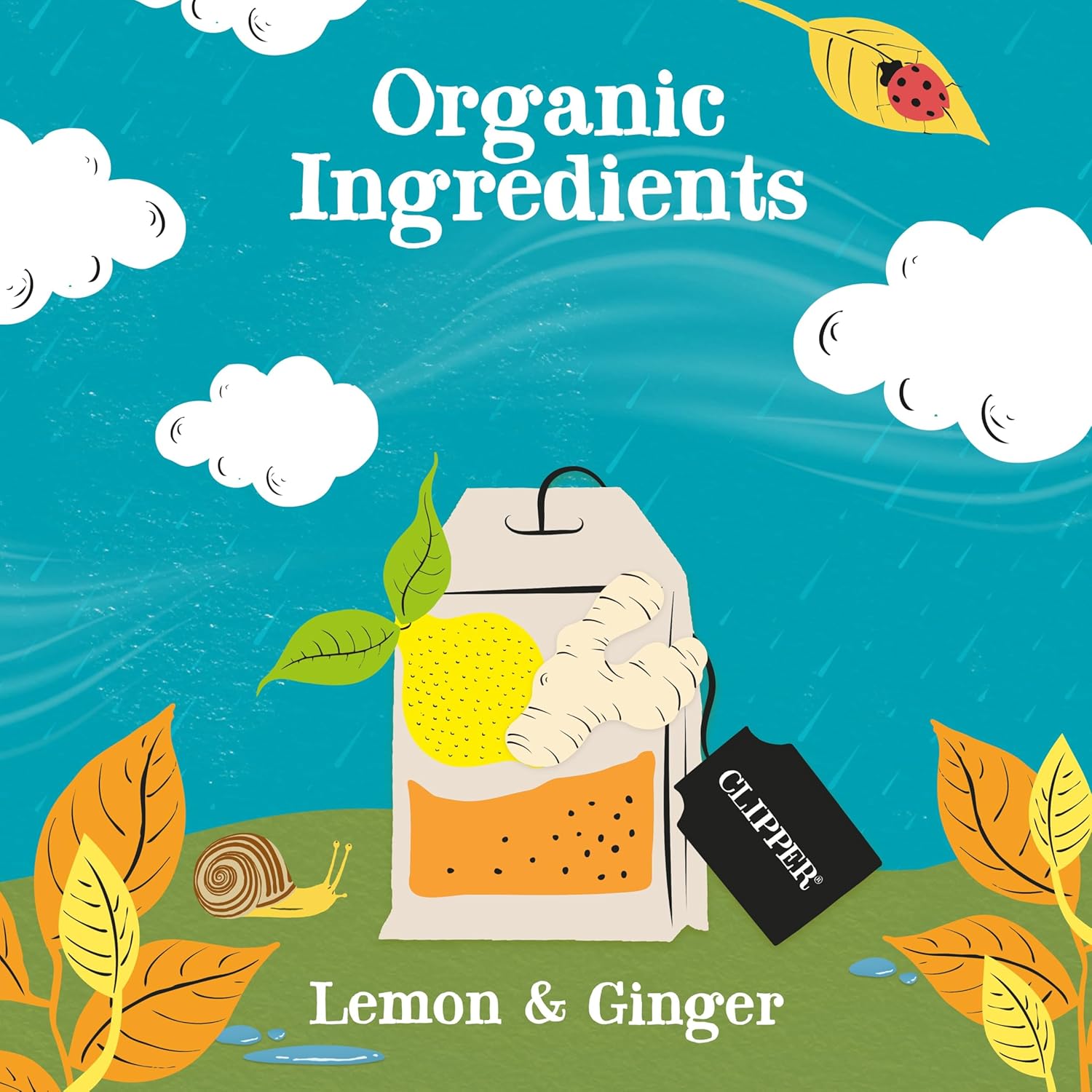 Clipper Tea Lemon & Ginger Teabags – Caffeine Free, USDA Organic, Great Hot or Iced – Aromatic, Natural, Fair & Delicious – 200 Tea Bags
