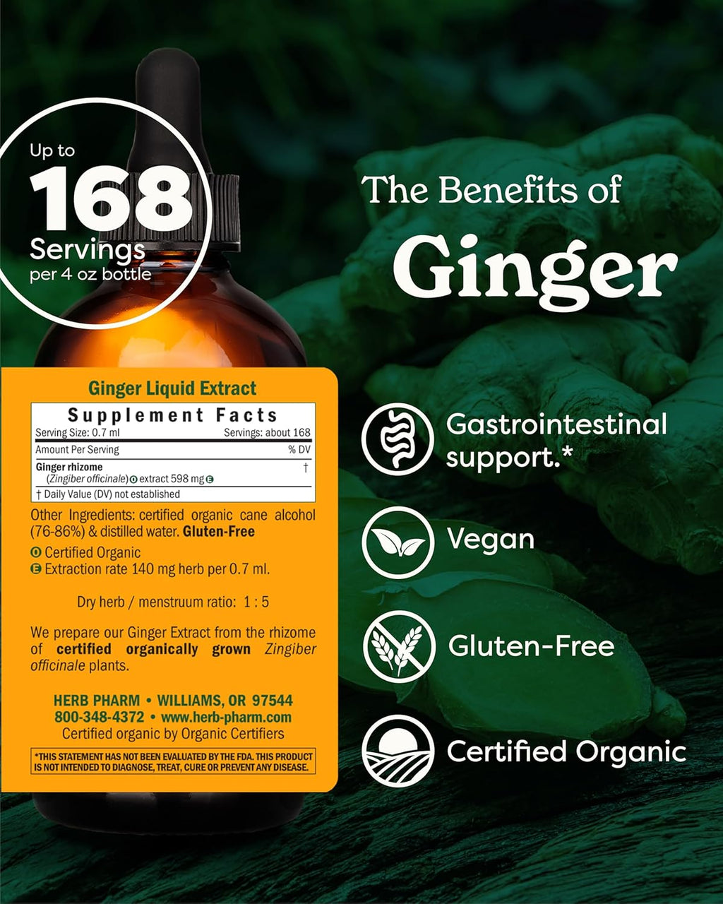USDA Organic Ginger Root Extract*: Digestion & Circulatory Support | Ginger Tincture for Occasional Nausea | Non-Bitter Vegan Digestive Supplement | 4 Oz, Up to 3 Months Supply