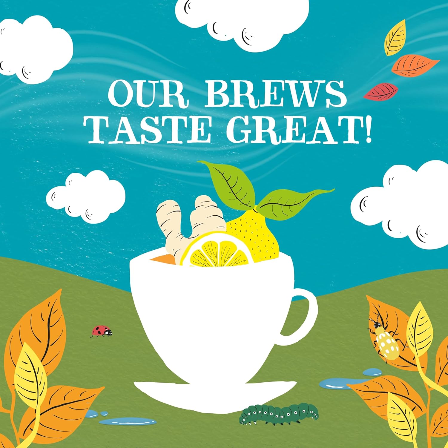 Clipper Tea Lemon & Ginger Teabags – Caffeine Free, USDA Organic, Great Hot or Iced – Aromatic, Natural, Fair & Delicious – 50 Tea Bags