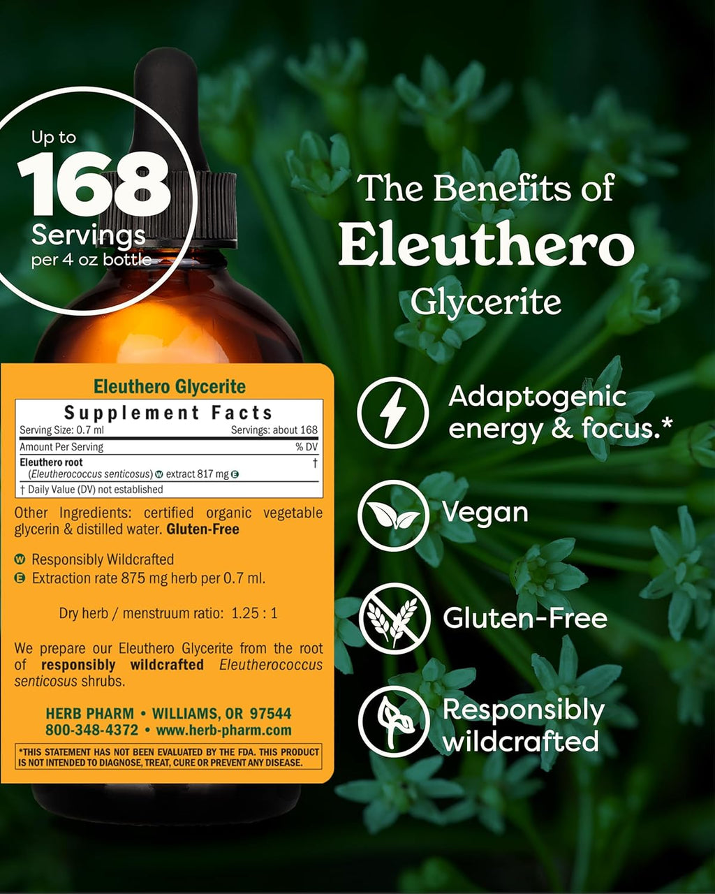 Herb Pharm Eleuthero Root Liquid Glycerite for Energy and Stamina, Alcohol-Free Glycerite, 4 Ounce