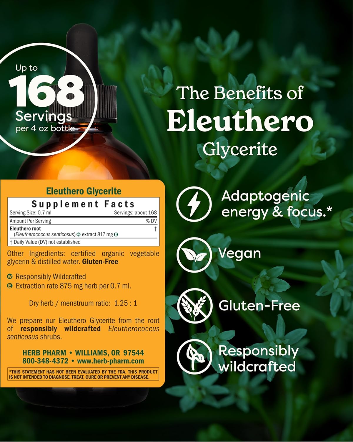 Herb Pharm Eleuthero Root Liquid Glycerite for Energy and Stamina, Alcohol-Free Glycerite, 4 Ounce