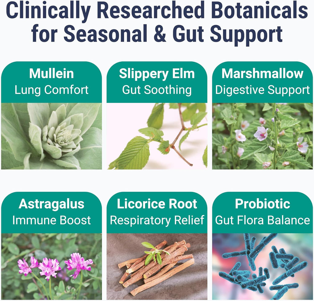 SHIZAM Slippery Elm, Mullein Leaf, Marshmallow Root, Licorice Root, Astragalus Root, Elderberry & Probiotic Bacillus Coagulans Gummies – Sugar-Free, Keto-Friendly, Vegan - Gymnema Sylvestre