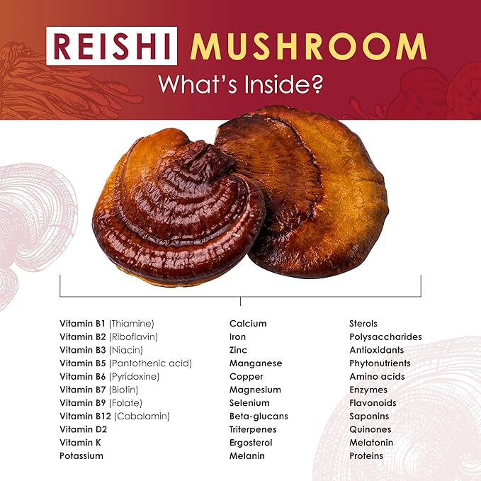 Reishi Mushroom Extract Tablets - 30g Monthly Supply - Dual-Extraction Fruiting Body - 35%+ Beta-glucans + Active Compounds - Pure Hardwood Log Grown - No Fillers or Additives