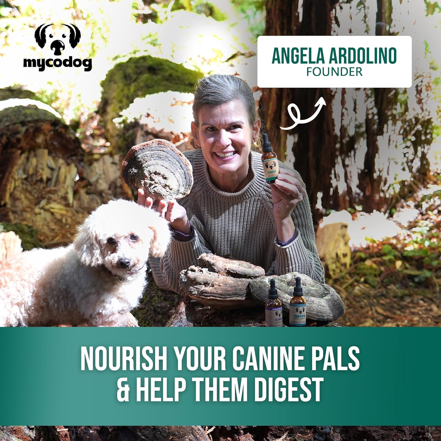 MycoDog Digest - Mushroom Extract & Adaptogen Tincture Dog Supplement - Dog Digestive Support Blend - Roots, Herbs, & Mushroom Extracts Including Chaga, Shiitake, & Turkey Tail