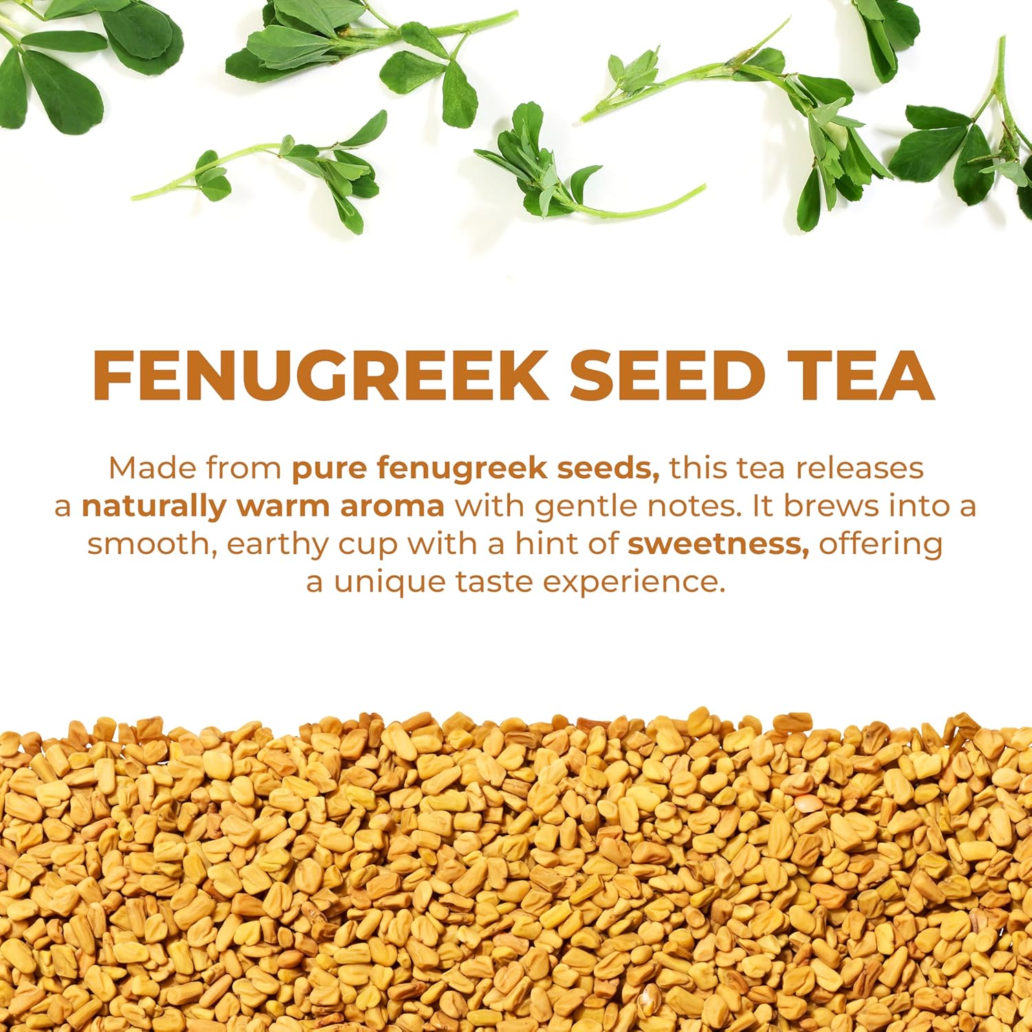 LeafLea 40 Natural Fenugreek Seed Tea Bags, 100% Pure from Fenugreek Seeds, Herbal Tea Infusion, Fenogreco Tea with Distinct Aroma and Smooth Flavor, Caffeine-Free, Individually Wrapped for Freshness