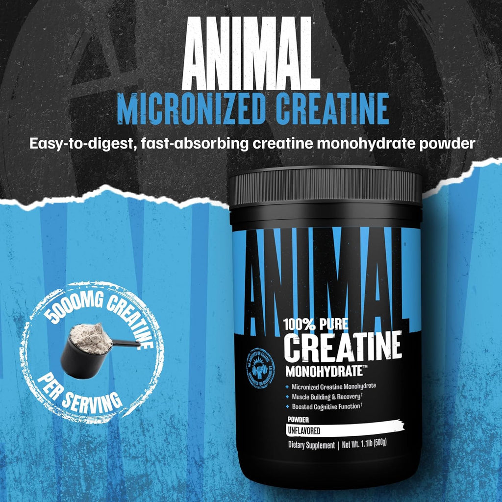 Animal Creatine Monohydrate Powder - Micronized Creatine for Women and Men, Supports Muscle Growth, Strength, Endurance, Recovery and ATP Production, Gym & Workout Supplements - Unflavored, 500g
