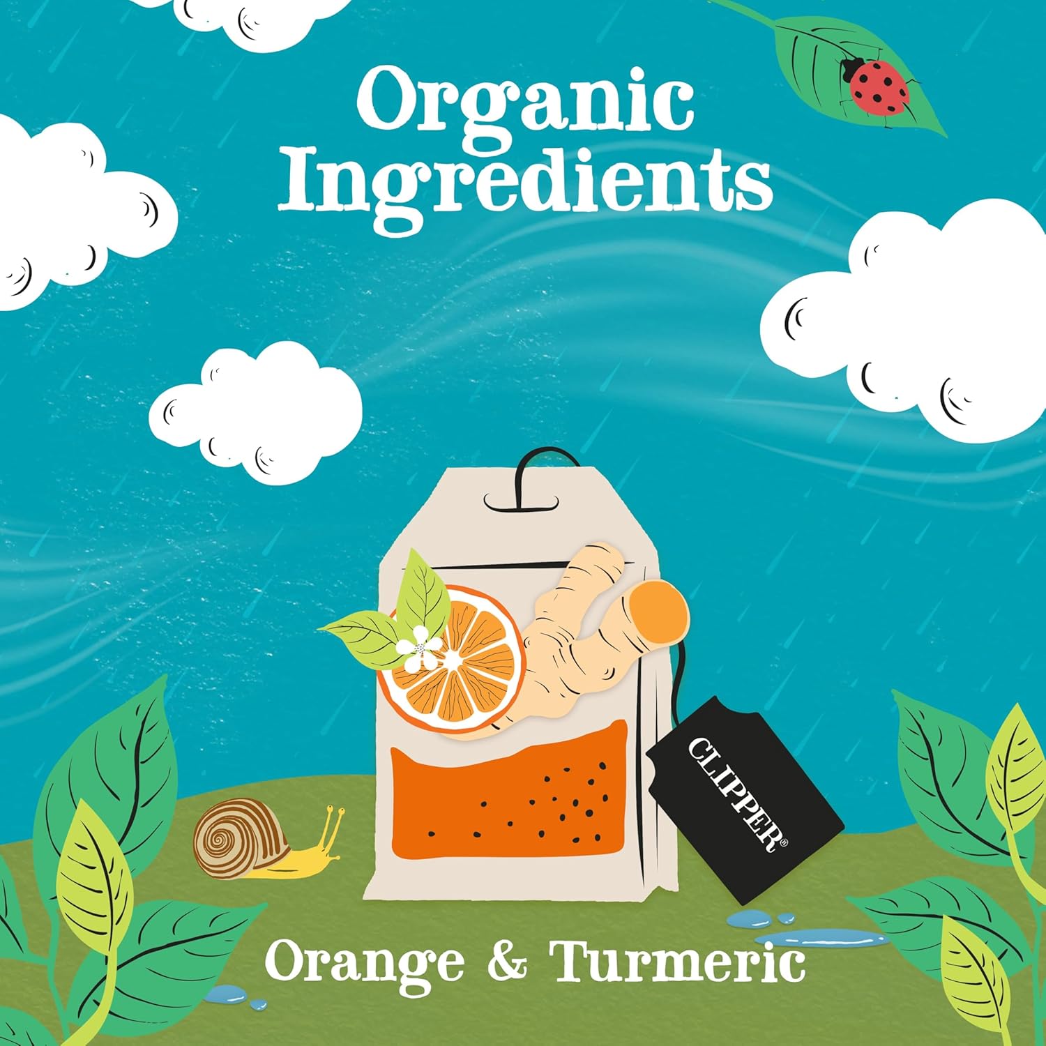 Clipper Tea, Orange & Turmeric, Organic Tea with Licorice Root, Orange Peel and Hibiscus, Plant Based Herbal Tea, Caffeine Free British Tea, 6 Pack, 120 Unbleached Tea Bags