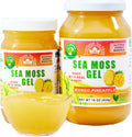 Wildcrafted Irish Sea Moss Gel | Made in USA | Rich in Vitamins & Minerals | Sea Moss Gel Raw | Nutritional Supplement | Mango Pineapple (1 Jar)