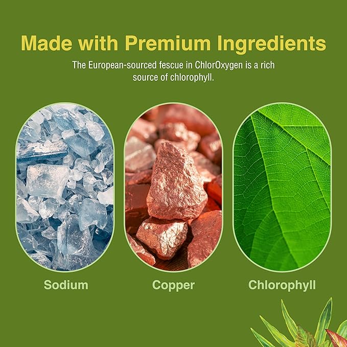Herbs Etc. ChlorOxygen Chlorophyll Concentrate - Highly-Concentrated Energy Support - Aids Healthy Blood Circulation - Natural Vitality Support - Alcohol-Free - 1 fl oz (About 66 Servings)