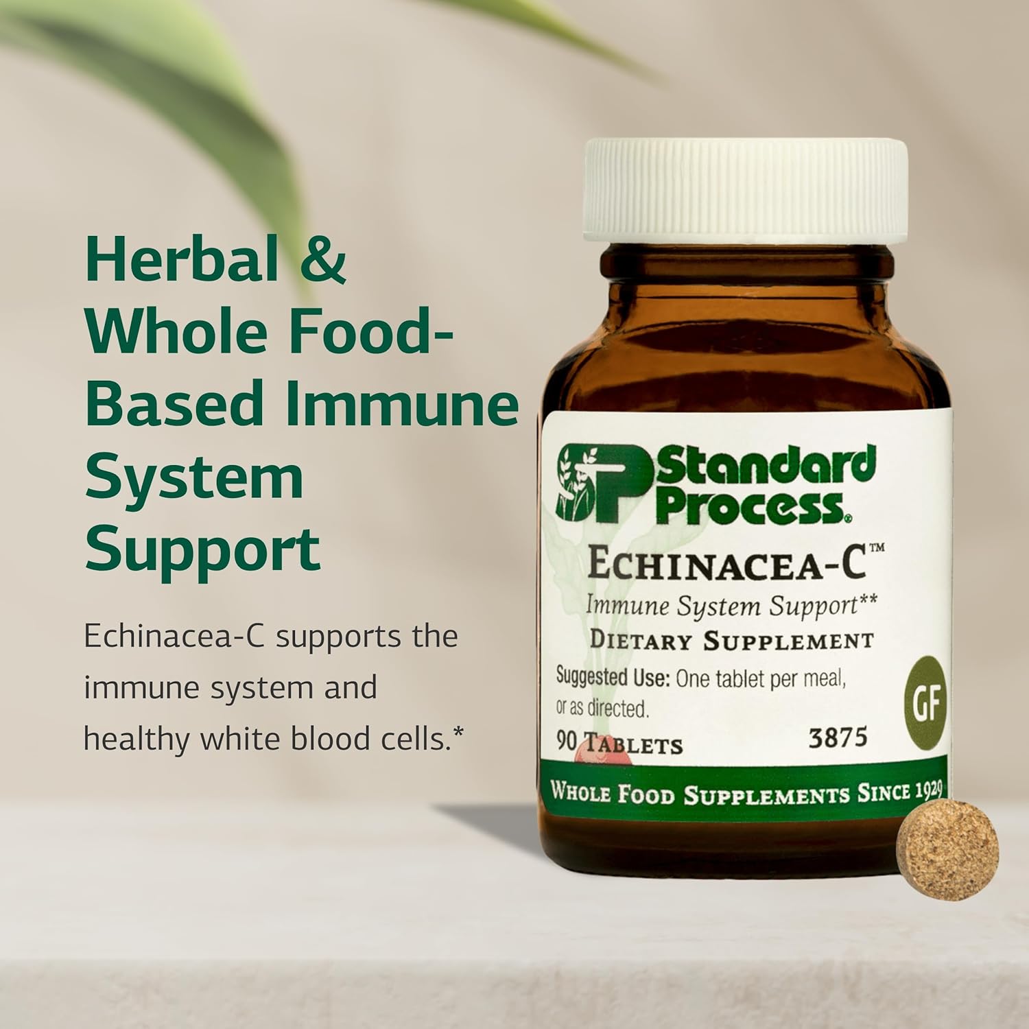 Standard Process Echinacea-C - Supplement for Immune System Support - Offers Daily Vitamin C Dose - Gluten-Free, Non-Dairy & Non-Soy - 90 Tablets (90 Servings)