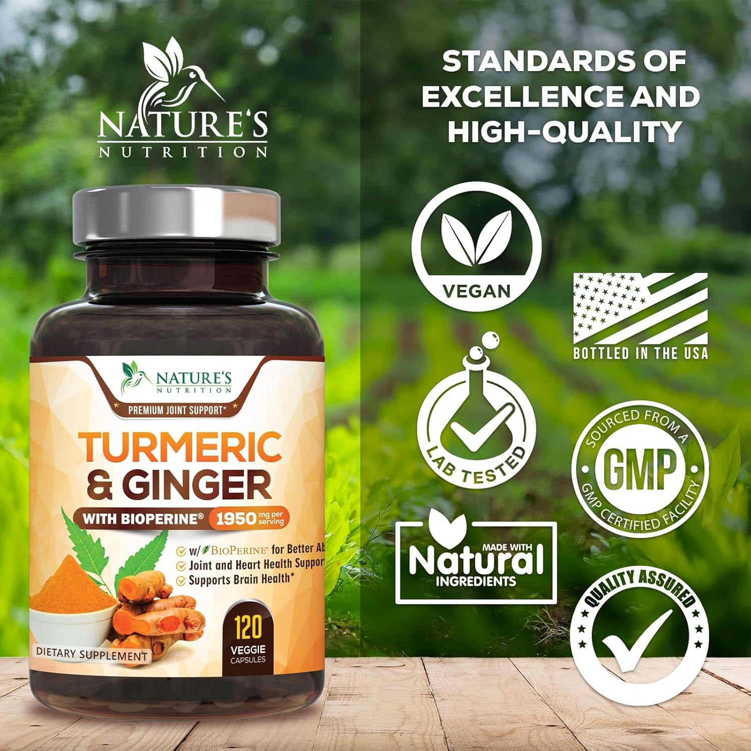 Turmeric Curcumin Supplement 1950mg - 95% Curcuminoids with Organic Turmeric & Ginger, BioPerine Black Pepper for Best Absorption, Nature's Vegan Joint Support, Non-GMO, Bottled in USA - 120 Capsules