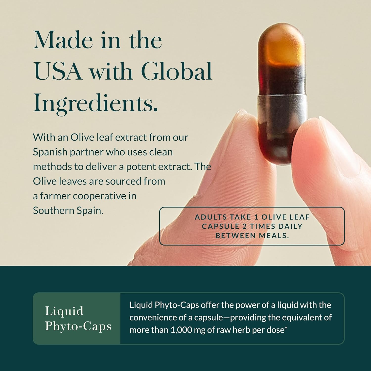 Gaia Herbs Olive Leaf - Traditional Immune Health Support - Immune System Supplement with Olive Leaf Extract and Oleuropein - 120 Vegan Liquid Phyto-Caps