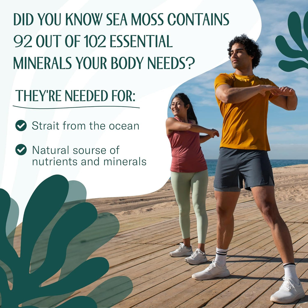 TrueSeaMoss Raw Irish Sea Moss – Wildcrafted Sun-Dried Seaweed for Homemade Gel – Vegan, Non-GMO, Gluten-Free, Additive-Free – 16oz (1 lb) Makes Up to 200oz Gel – Atlantic Harvested