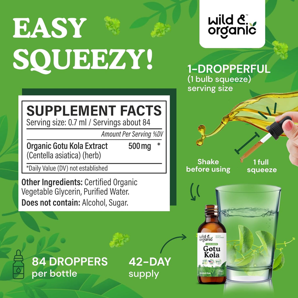 Wild & Organic Gotu Kola Herb Tincture - Brain Support - Gotu Kola Liquid Extract Drops - Vegan, Sugar & Alcohol-Free Centella Asiatica Supplement - 2 fl oz