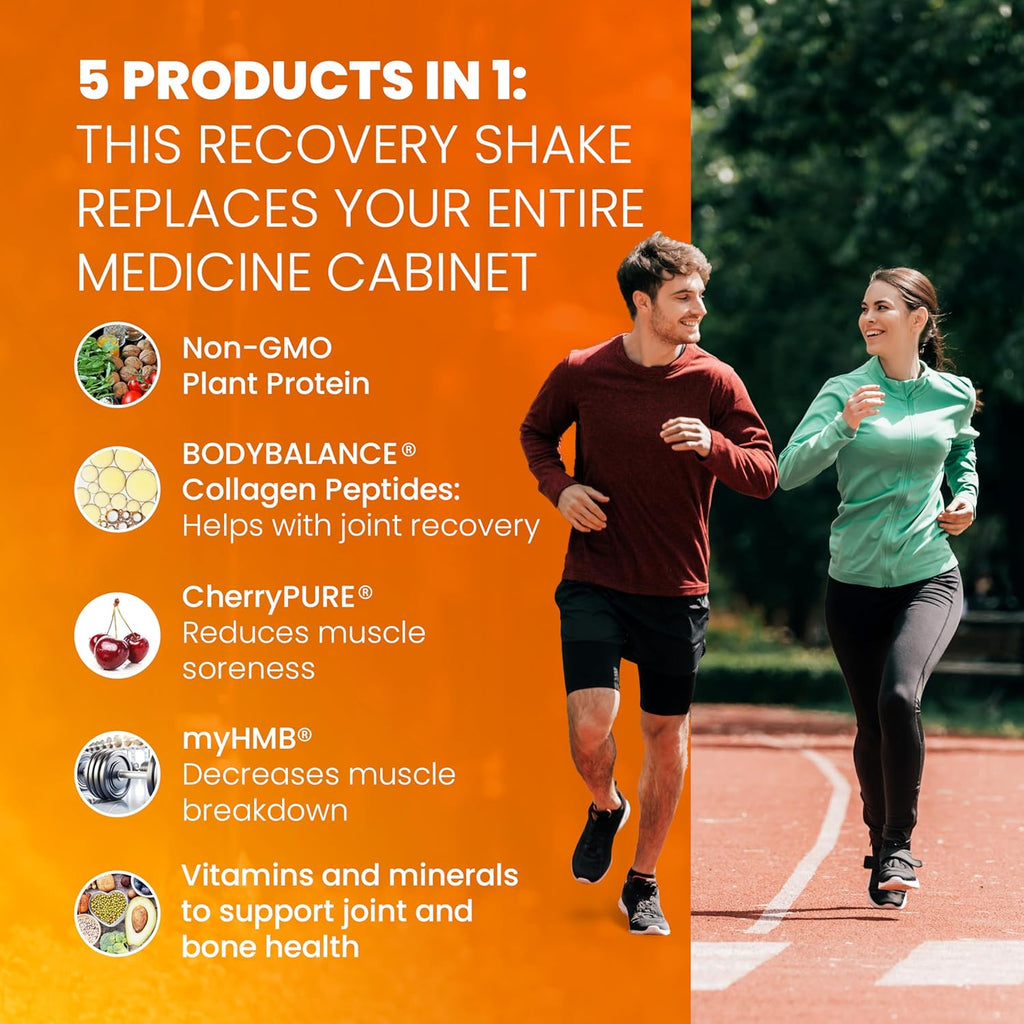 SaltWrap Protein Clinic – Total Body Recovery Shake with Collagen Peptides, HMB, Tart Cherry Extract, Pea Protein Isolate and Prebiotic Fiber for Joints & Muscle Recovery - Creamy Chocolate Fudge