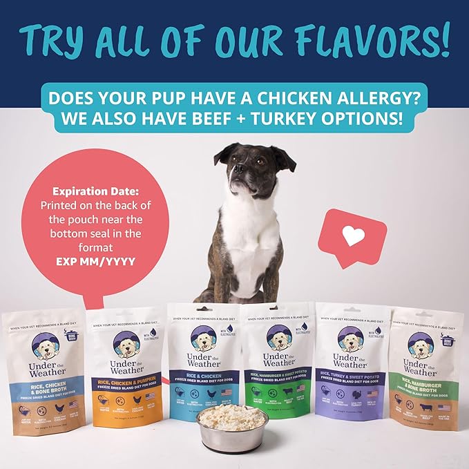 Under the Weather Bland Diet for Dogs | Easy to Digest for Sick Dogs | Always Be Ready | Contains Electrolytes - All Natural Freeze Dried 100% Human Grade Meats | 1 Pack - Chicken, Rice - 6oz