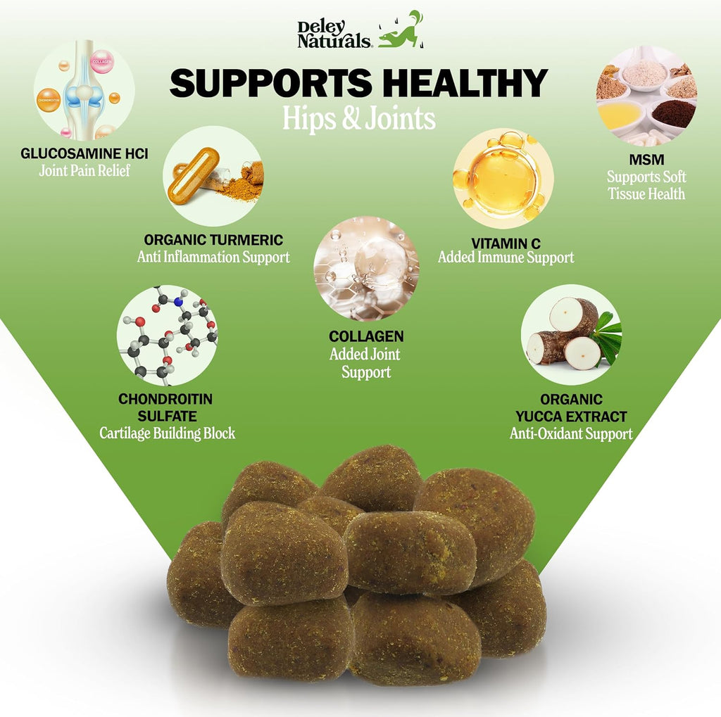 Deley Naturals Hip and Joint Supplement for Dogs - Glucosamine for Dogs with MSM, Turmeric, Chondroitin & Collagen Supplements - Joint Support Chews for Mobility, Flexibility & Comfort - 120 Chews