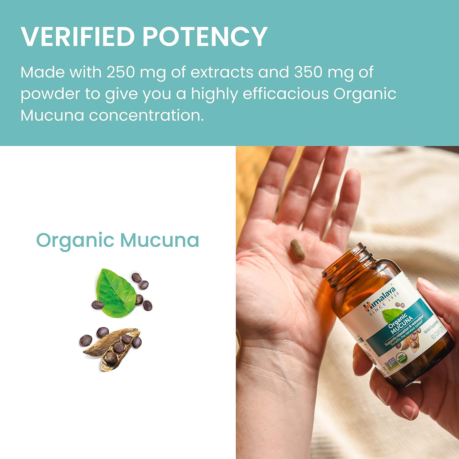 Himalaya Organic Mucuna/Pruriens Herbal Supplement, Supports Relaxation, Tension Relief, Brain Function, Non-GMO, USDA Organic, Vegan, Gluten Free, 600 mg, 60 Plant-Caplets, 60 Day Supply