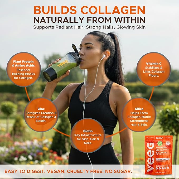 Veeg All in One Protein Smoothie Powder – Vegan Protein Powder & Collagen Boost. Organic Pea Protein, MCT, Probiotics & Multivitamin. One Scoop Daily Energy, Wellness & Balance 15 Servings (Vanilla)