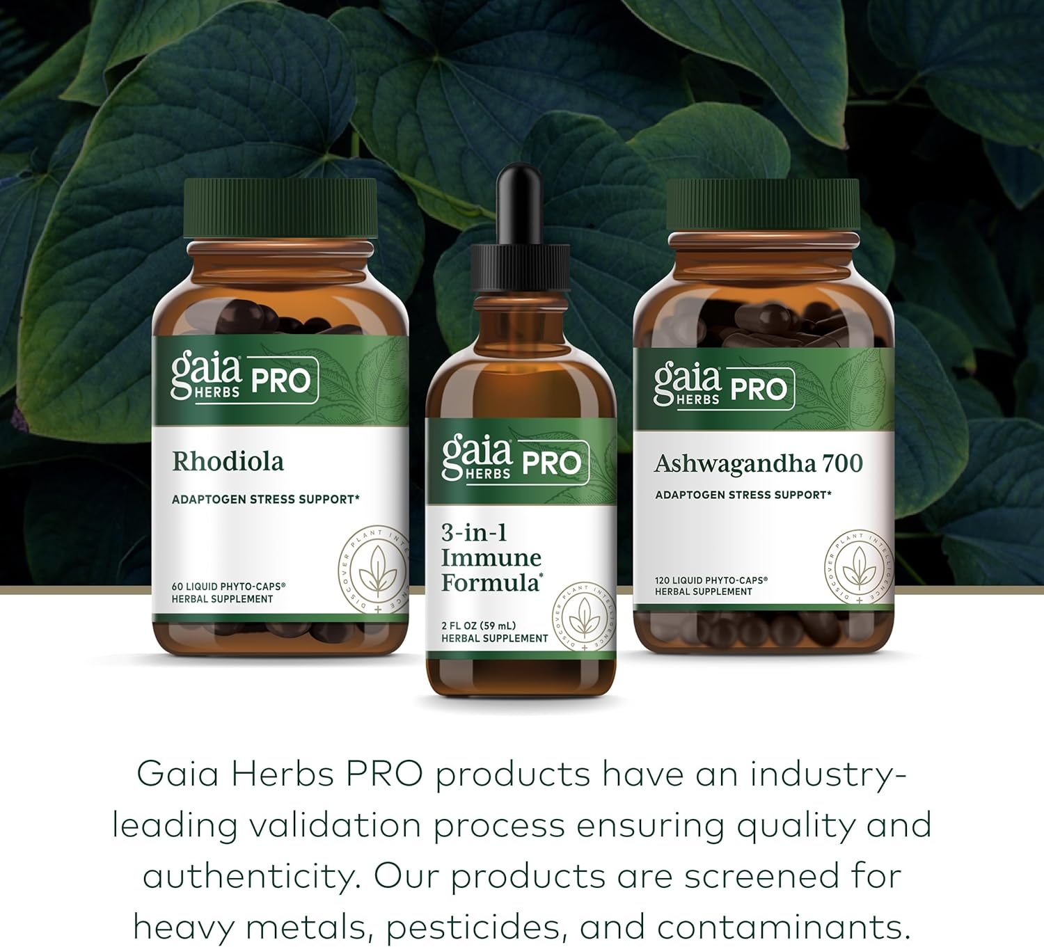 Gaia Herbs Pro 3-in-1 Immune Formula - Immune System Support Supplement* - Liquid Supplement with Astragalus Root & Schisandra Berry - 2 fl oz (44 Servings)