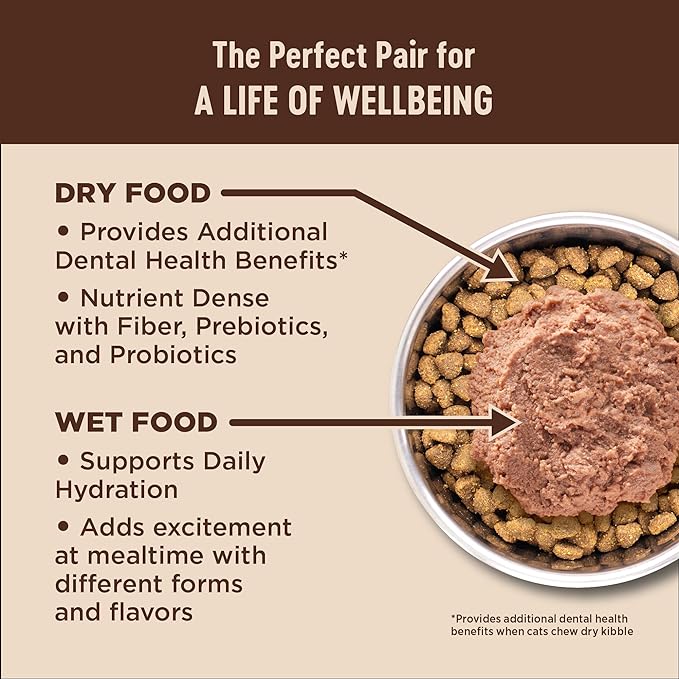 Wellness CORE+ Digestive Health Pate Adult Wet Cat Food, Natural, Protein-Rich, Grain Free, 3 Ounce, 12 Pack (Salmon & Whitefish Variety Pack)