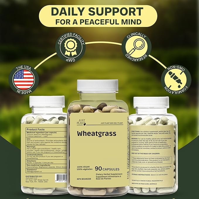 Organic Wheatgrass Capsules 500 mg, 90 Vegan Capsules | Detox, Energy, Digestion & Immune Support | Chlorophyll-Rich Green Superfood, Vegan, Gluten-Free