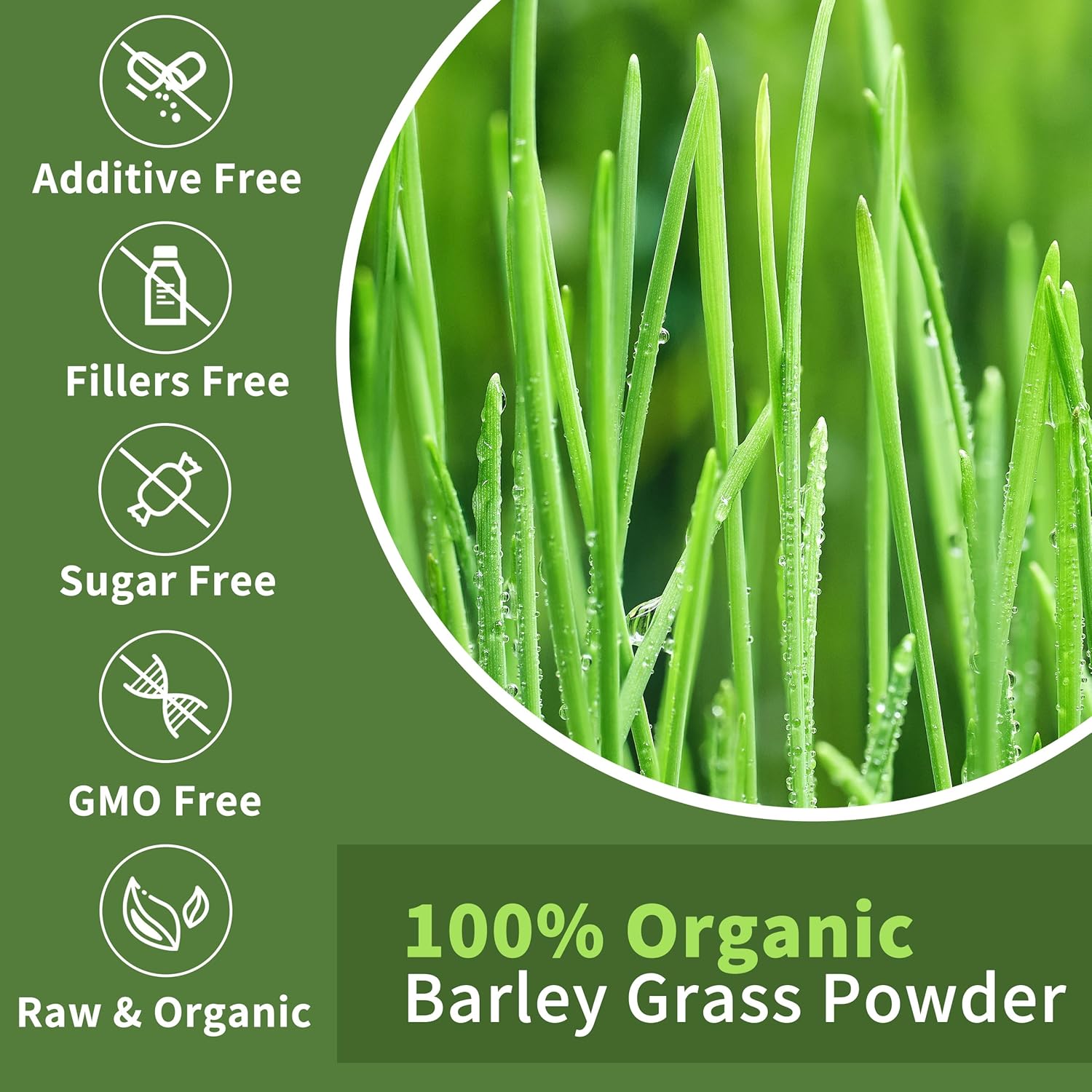 Barley Grass Juice Powder 11 oz - 100% Pure Wheatgrass Powder, Vegan, No Maltodextrin & Sugar.