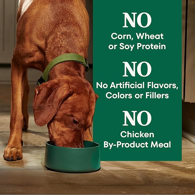 Nutro Natural Choice Adult Large Breed Dog Food Dry, Chicken & Brown Rice Recipe, 36 lb. Bag
