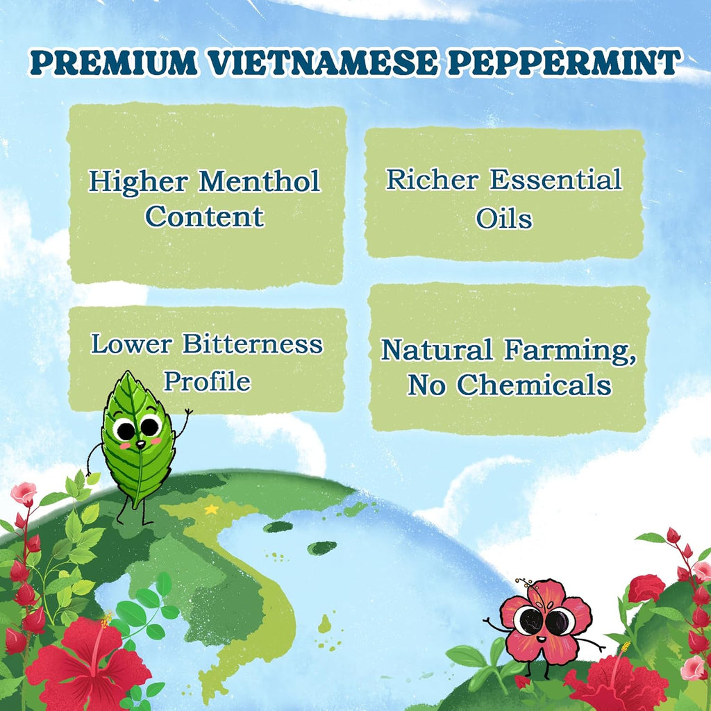 LoveinTea Peppermint Herbal Tea Bags, Caffeine-Free, 100% Natural Vietnamese Peppermint Blend, Plant-Based Pyramid Bags, 30 Count