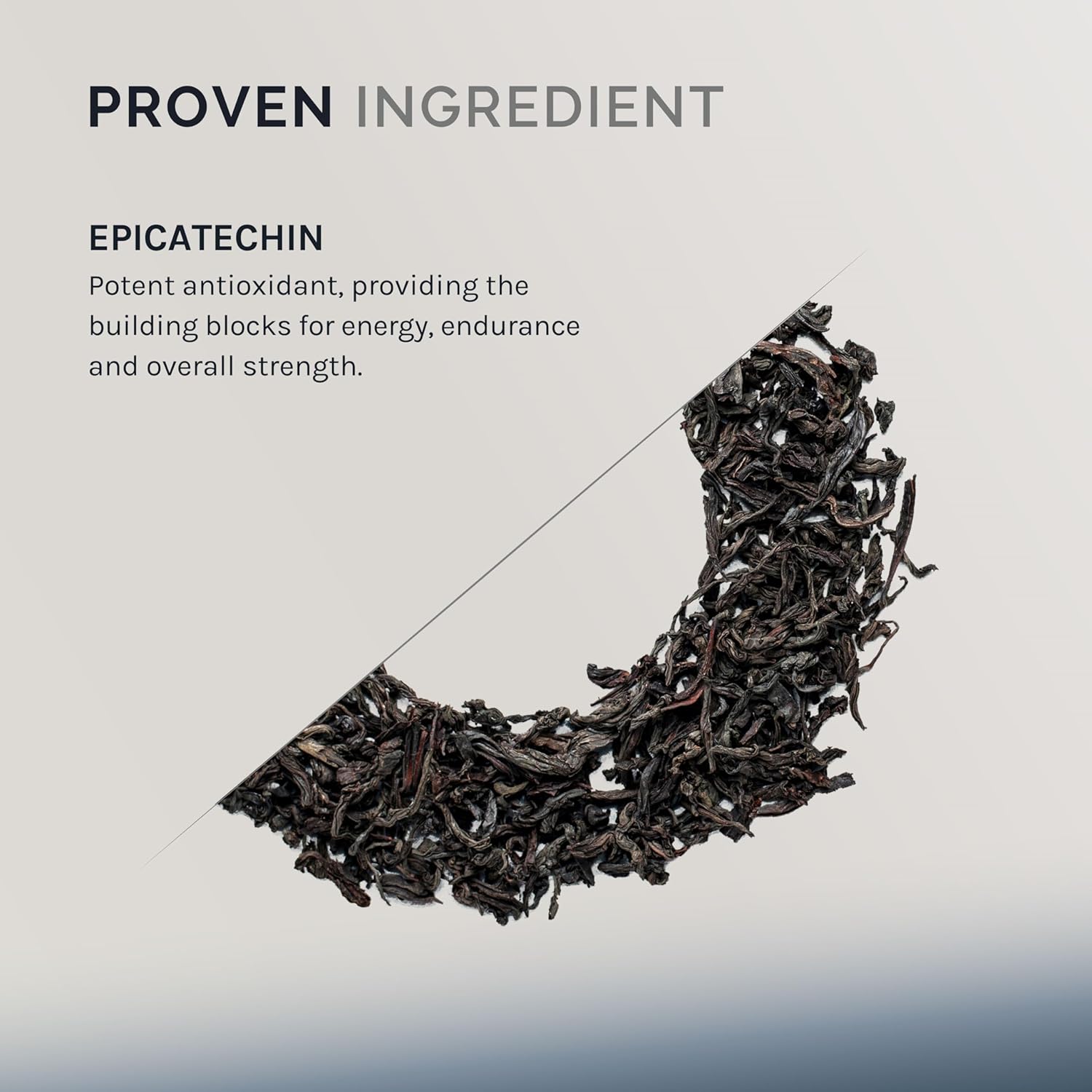 InfiniWell Epicatechin Supplement - Support Muscle Building & Nitric Oxide Production - Promote Healthy Protein Synthesis, Exercise Recovery, Antioxidant Support & Cognitive Function (60 Capsules)