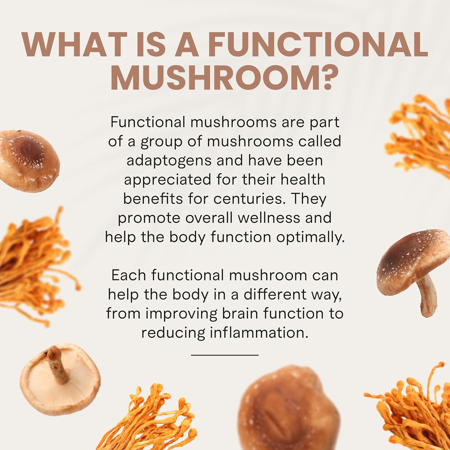 Charlotte's Web Energy Support Mushroom Gummies w/Cordyceps & Shiitake Mushrooms, Caffeine-Free Energy Supplements — Cordyceps Mushroom Gummies, Peach Iced Tea Flavor (30 Servings)