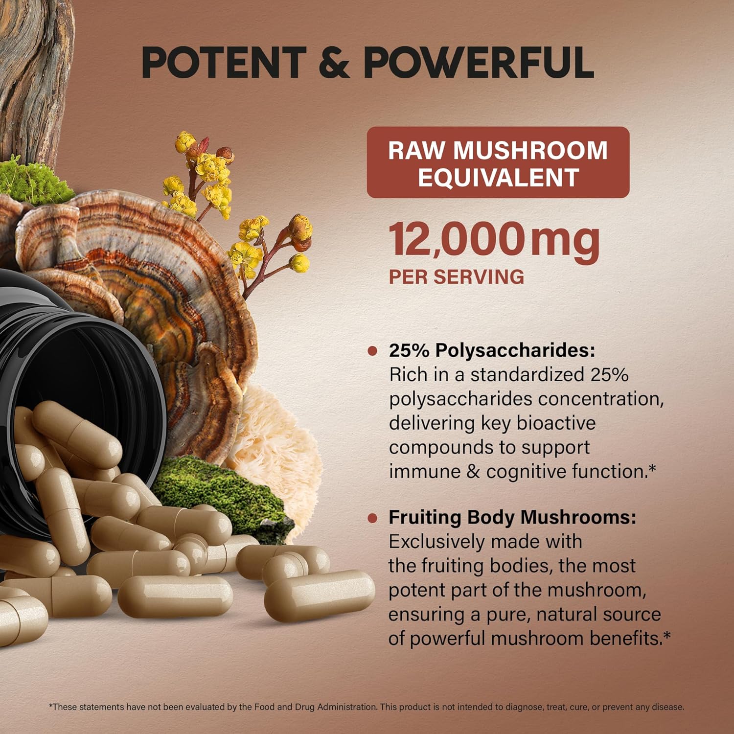 Mushroom Supplement - Organic Lions Mane | Turkey Tail | Chaga | Cordyceps | Reishi | Maitake | Shiitake | Meshima | Tremella | Oyster | Agaricus - Made in USA - Non GMO, Gluten Free - 120 Capsules
