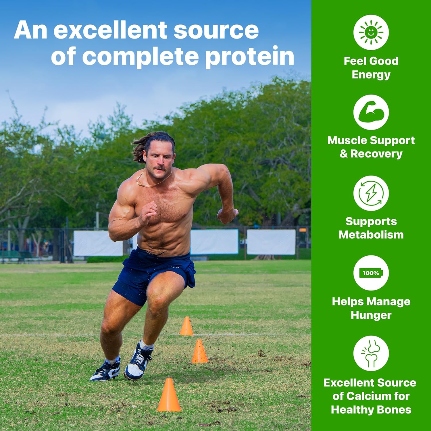 Orgain 38g High Protein Shake, Dairy Isolate Protein Milk, Chocolate Fudge, 6g BCAAs, 1g Sugar Per Serving, Meal Replacement, Ready to Drink, Keto Friendly, Gluten-Free 14 Fl Oz (Pack of 12)