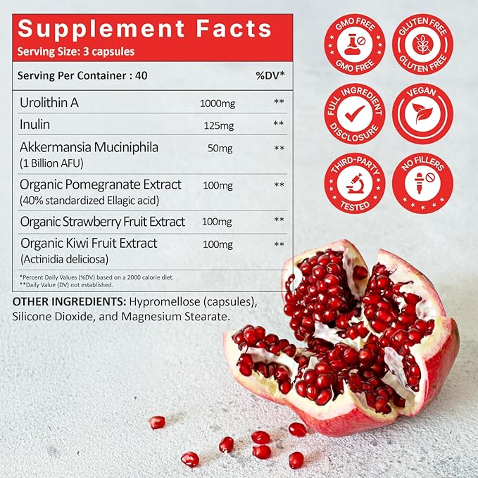 Xpandage Advanced Urolithin A 1000mg with Akkermansia probiotic, Inulin, Organic Pomegranate, Strawberry and Kiwi for Cellular Health, Healthy Gut, Mitochondrial Health& Healthy A*g*i*n*g.