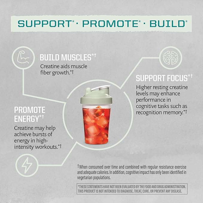 Sunwarrior Creatine Monohydrate Powder Micronized PreWorkout Recovery Supplement | Support Muscle Building Strength Training Cognition | Vegan & Keto Friendly Bulk Size (120 Servings) Unflavored