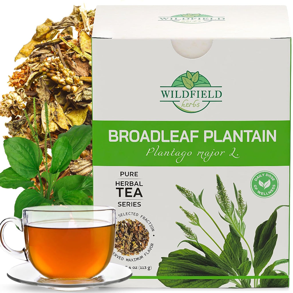 4 oz. Plantain Leaf Herb Tea Dried Plaintains (Plantago Major) - 113 g Greater Broadleaf Plantain Leaf Tea Llanten