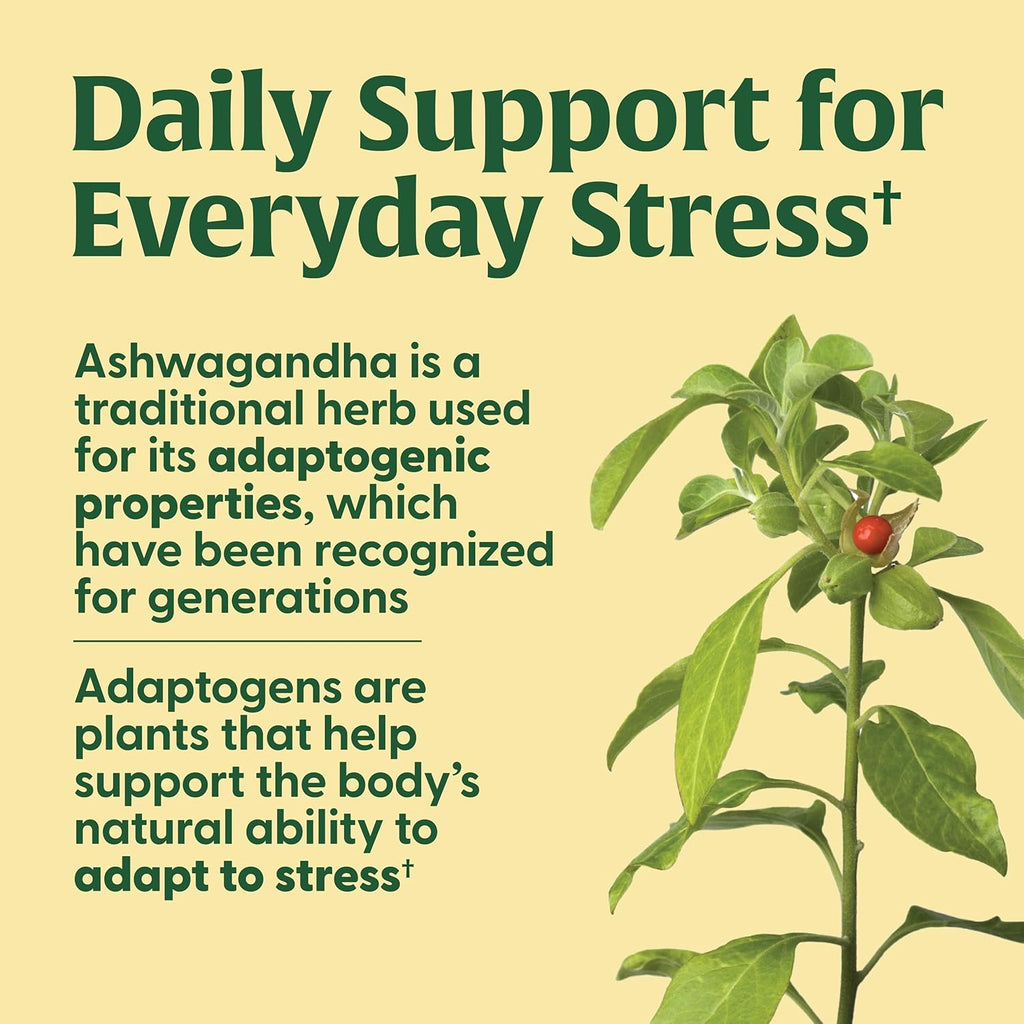 MegaFood Thyroid Strength - Mineral Supplement - Thyroid Support for Women with Ashwagandha, Zinc, Selenium, Copper, Iodine & L-Tyrosine & Herb Blend - Vegetarian - 60 Tabs (30 Servings)