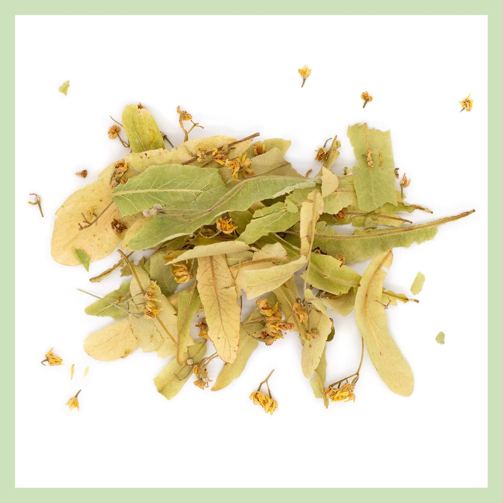MagJo Naturals Linden Loose Leaf Tea Wild Harvest