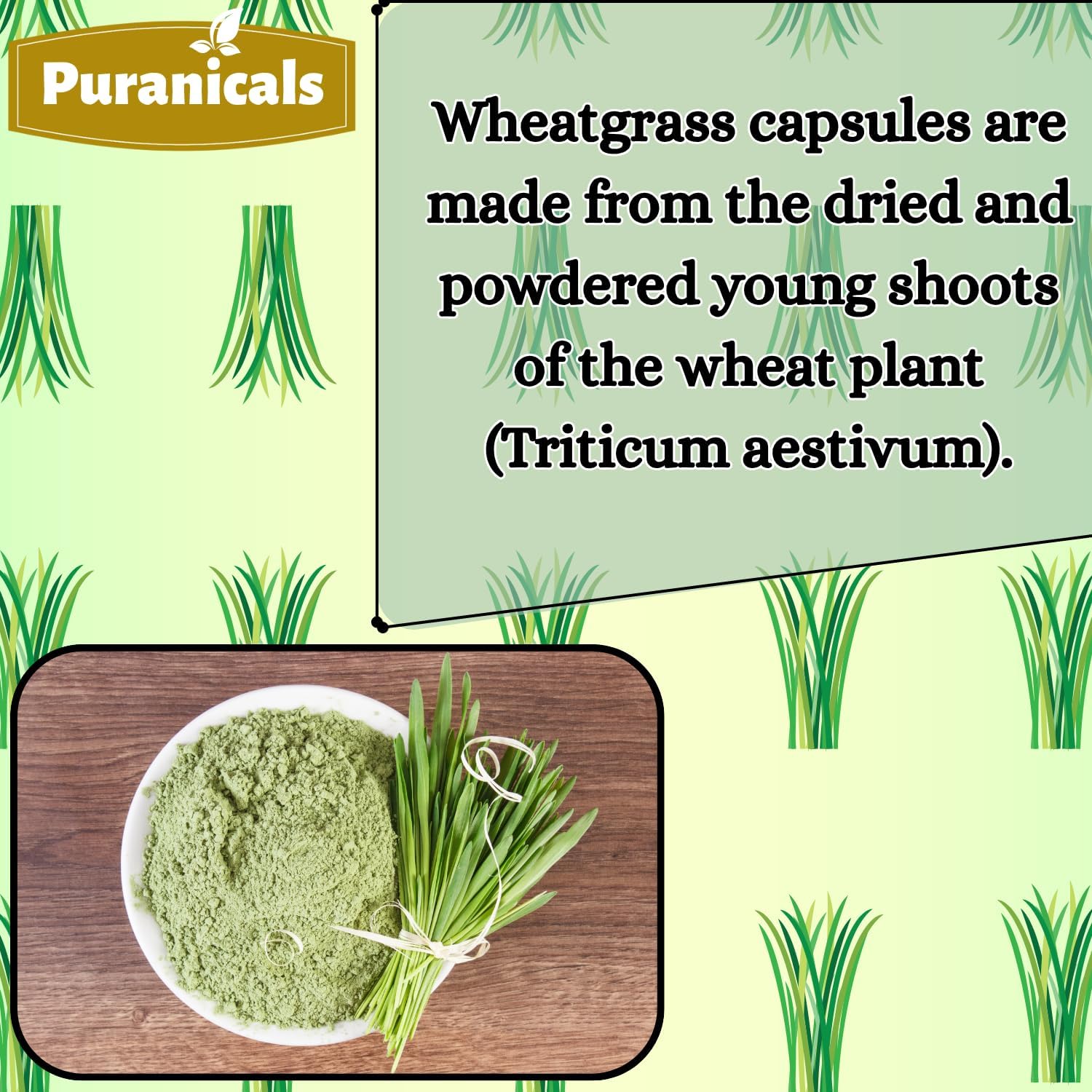 Wheatgrass Premium 320 Capsules Non-GMO and Gluten Free | Herbal Supplement | 600 mg Per Serving | Made with 100% Herb Wheat Grass