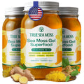 TrueSeaMoss Sea Moss Gel – Made in USA – 5-in-1 Formula – Wildcrafted Seamoss, Ashwagandha & Sea Vegetables – Ashwagandha, Pack of 3 (Labels may Vary)