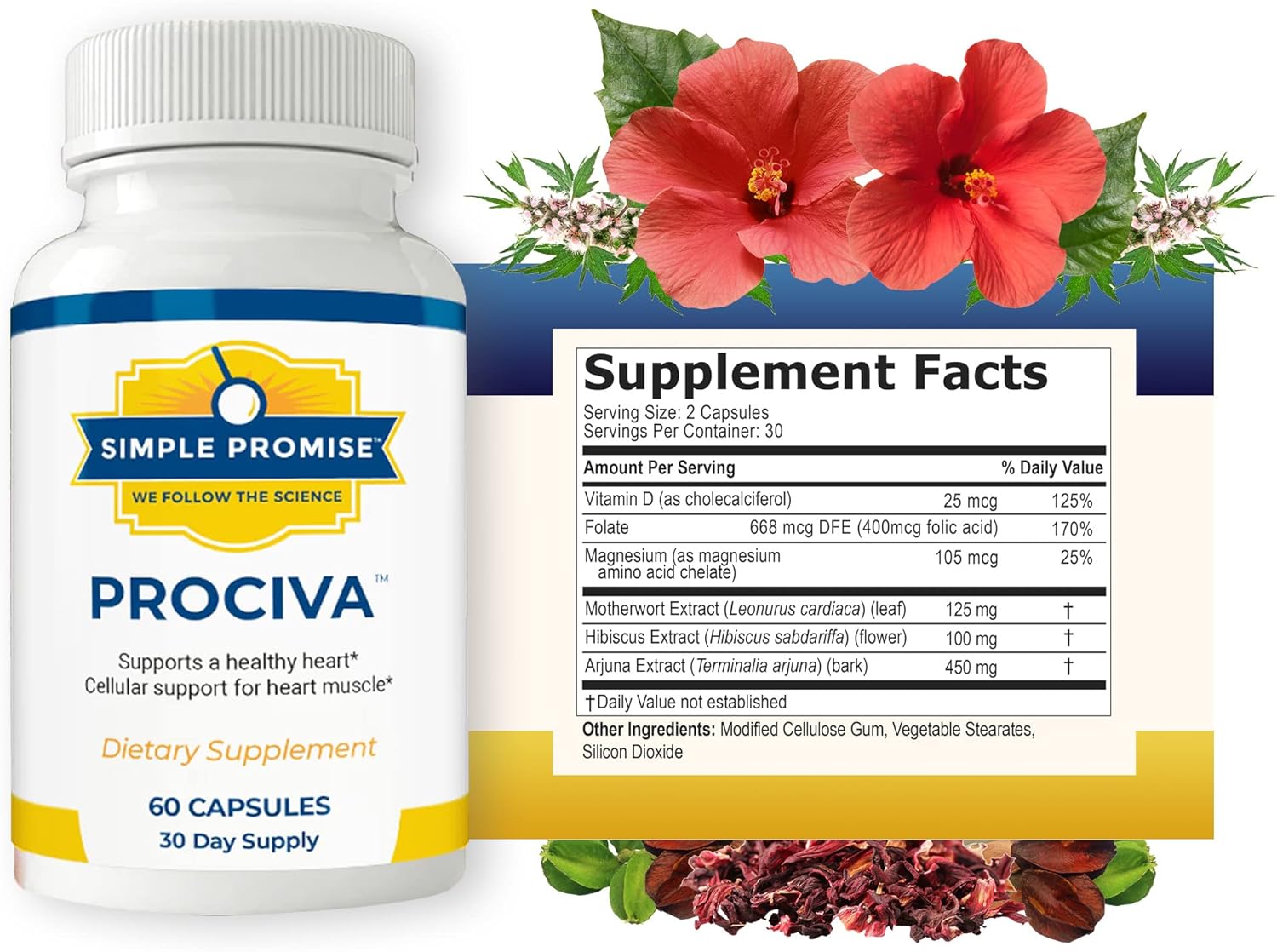 Simple Promise Prociva - Arjuna Bark Extract Heart Health Supplement with Folic Acid, Vitamin D & Magnesium - Herbal Blood Pressure Support & Healthy Heart Maintenance for Men & Women - 60 Capsules