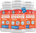 Genex Formulas Berberine HCl 500mg (3 Pack) - NSF Certified for Safety, Quality & Label Accuracy - Supports Immune Health - Non-GMO, Gluten Free, Vegetarian