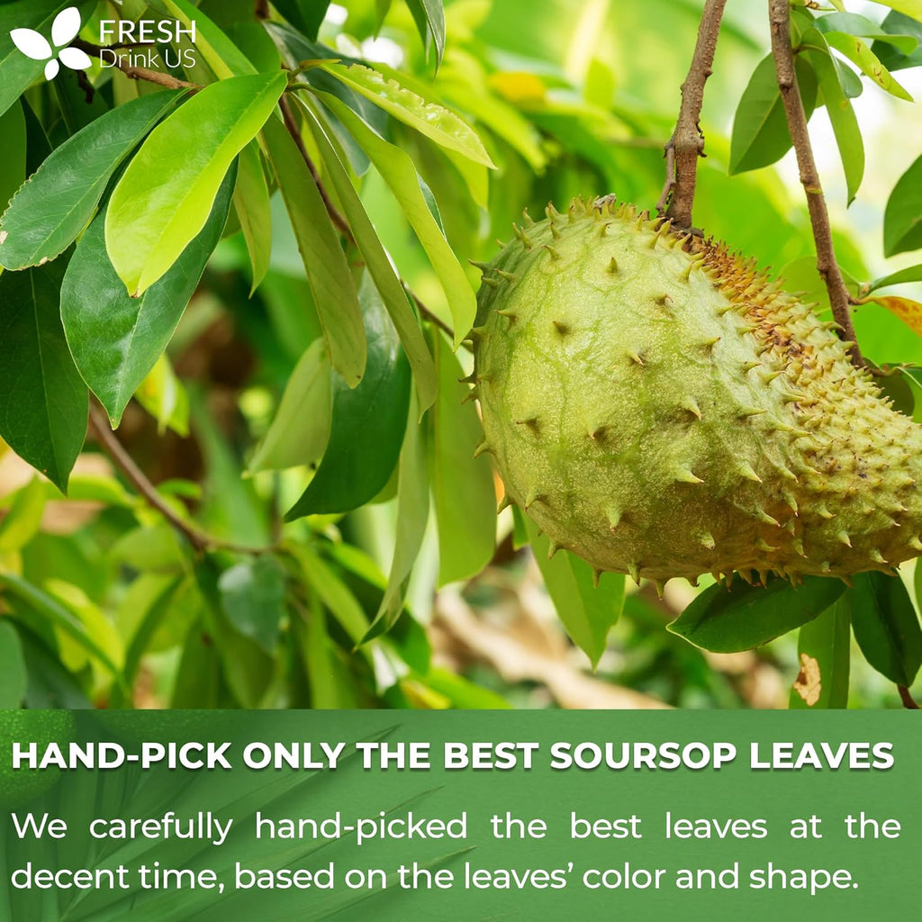 FreshDrinkUS, Premium 275+ Soursop Graviola Whole Dried Leaves Tea, 275-300 Soursop Graviola Guanabana Whole Leaves, Wildcrafted, Hoja Guanabana Loose Leaf Herbal Tea, No Gluten, Vegan