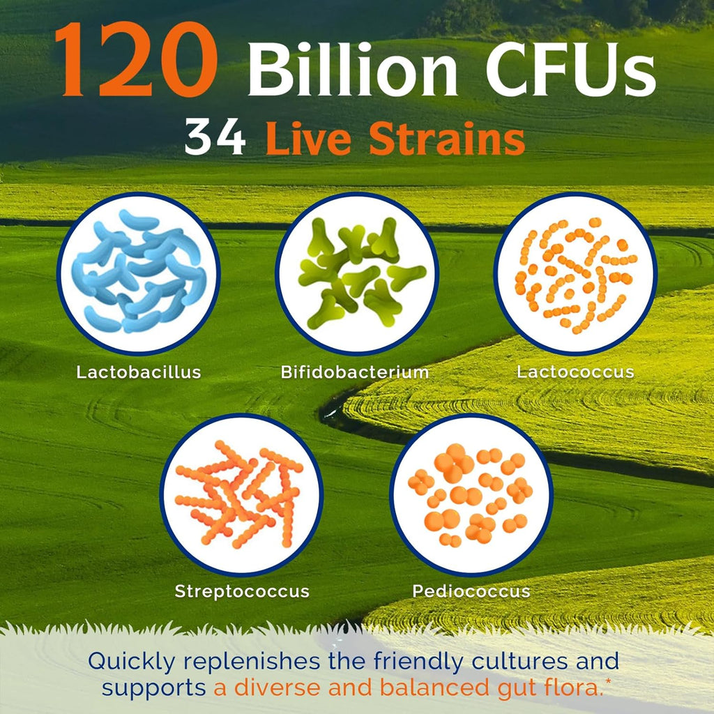 Innate Vitality Probiotics 120 Billion CFUs for Men & Women, 34 Strains with Prebiotics & Digestive Enzymes, Immune & Digestive Health, Delayed Release, Shelf Stable, 30 Vegan Capsules