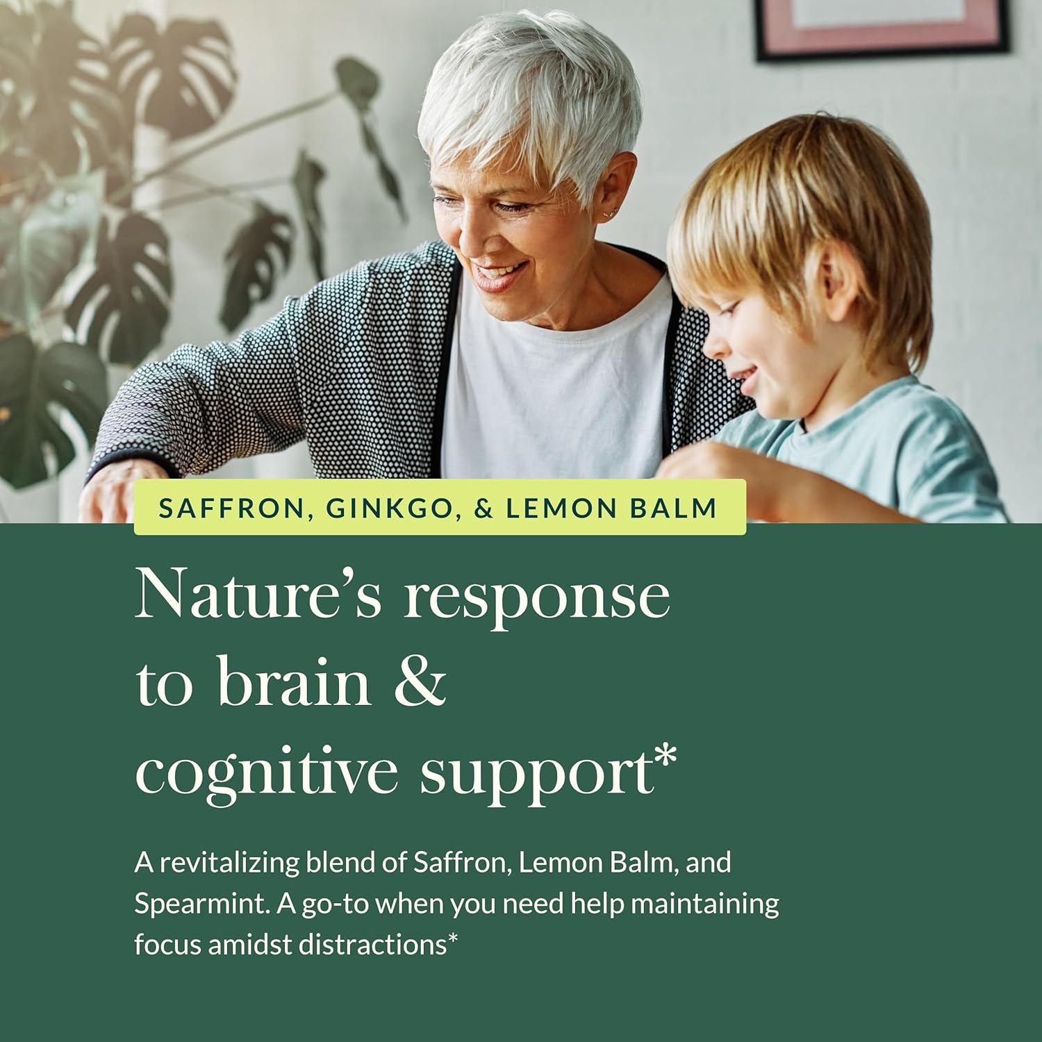 Gaia Herbs Nootropic Focus - Brain & Cognitive Support Supplement to Help Maintain Healthy Concentration* - with Saffron, Lemon Balm & Spearmint - 40 Liquid Phyto-Capsules (Up to 20-Day Supply)
