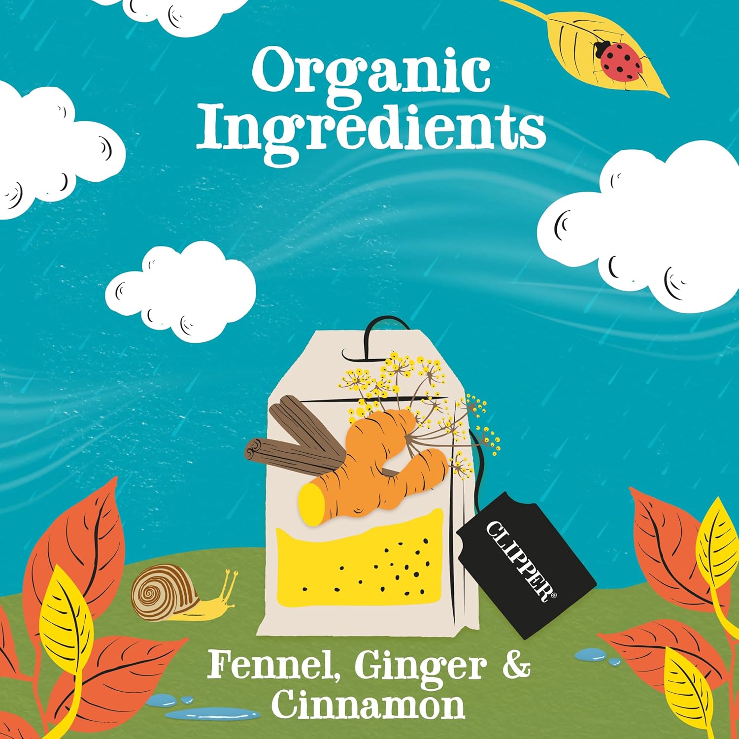 Clipper Tea Spicy Chai Herbal Tea – Caffeine Free, USDA Organic, Great Hot or Iced – Warming, Spicy, Natural, Fair & Delicious – 200 Tea Bags