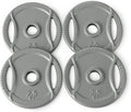 Amazon Basics 1-Inch Cast Iron Grip Weight Plates