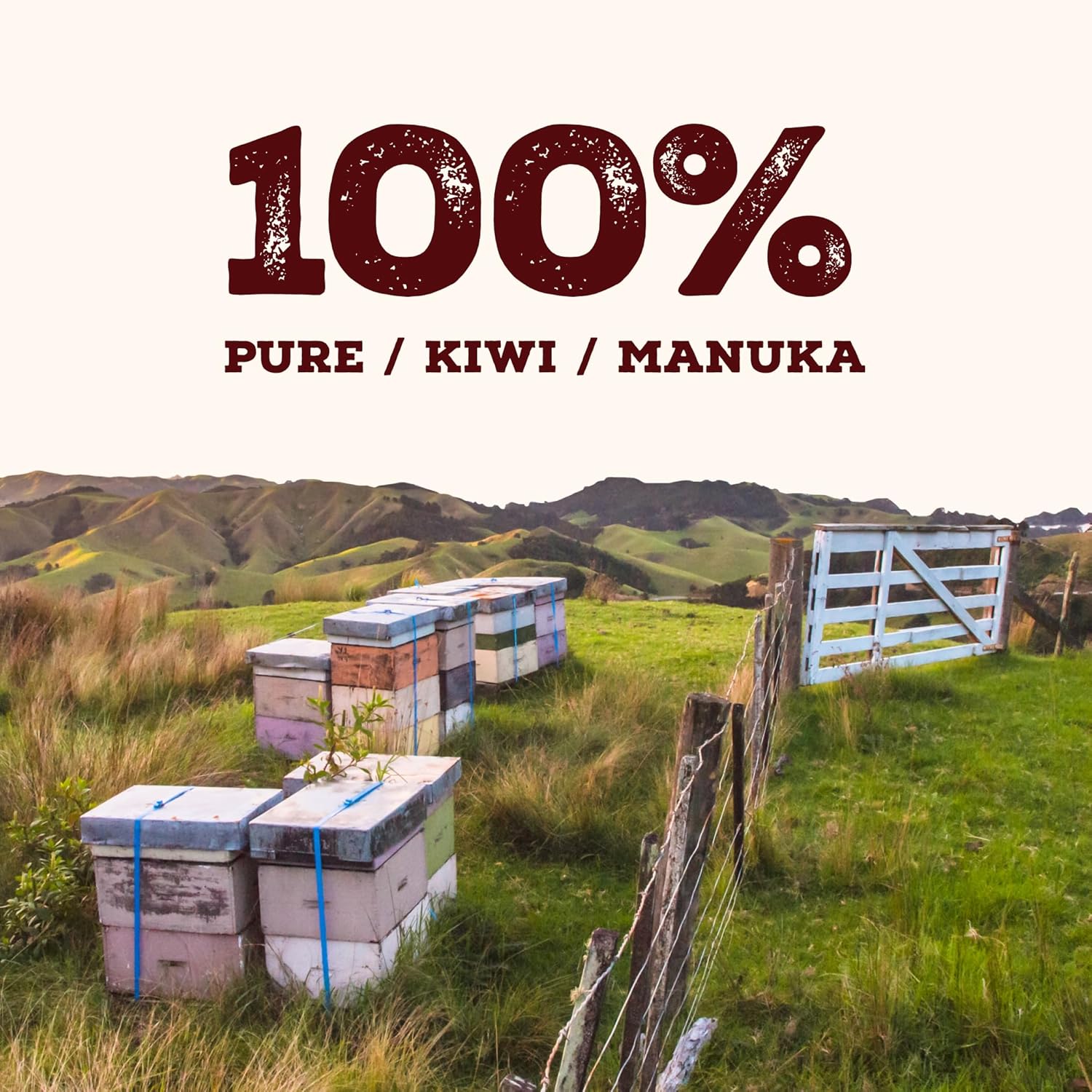 Manuka Doctor - MGO 325+ Manuka Honey Monofloral, 100% Pure New Zealand Honey. Certified. Guaranteed. Raw. Non-GMO (8.75 oz)