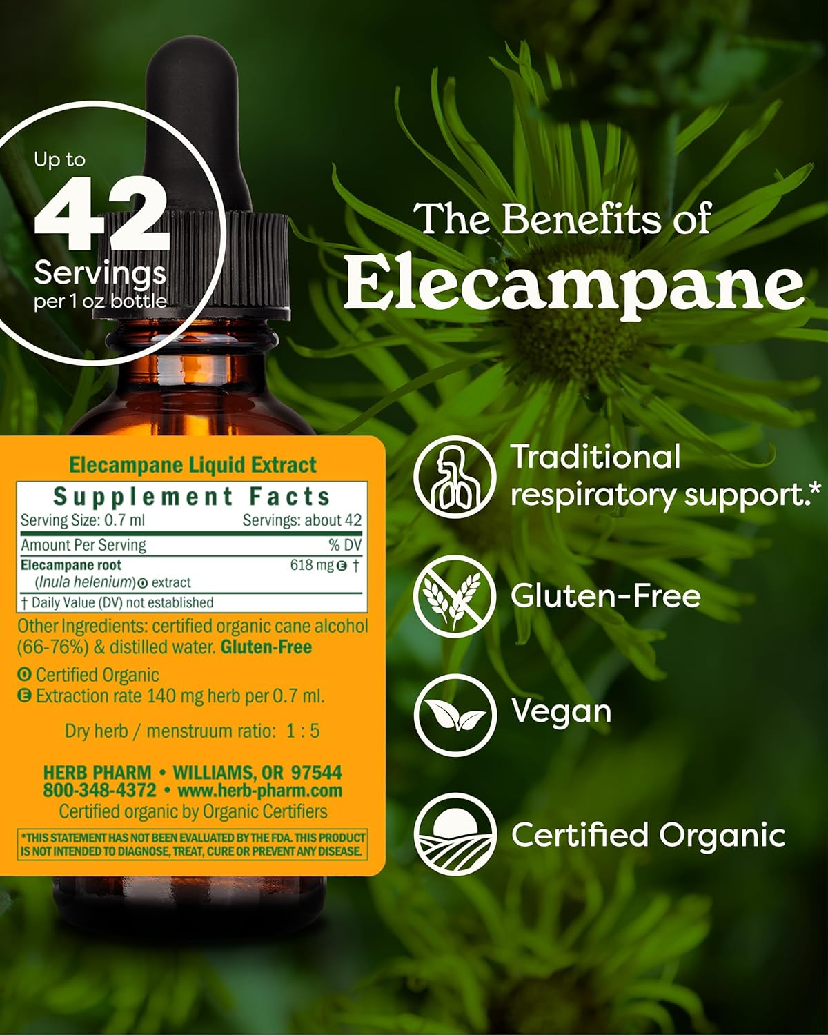 Herb Pharm Certified Organic Elecampane Liquid Extract for Respiratory System Support - 1 Ounce (DELECA01)